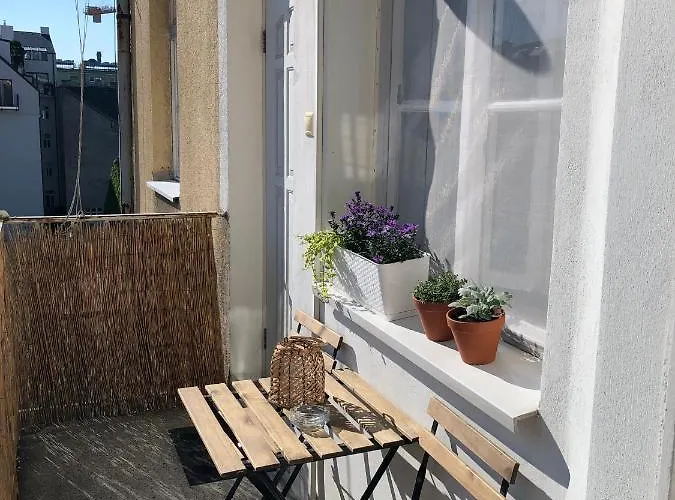 Daire Center Stylish In